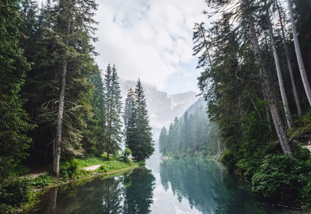 Fluss Hintergrundbild